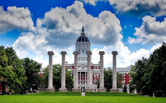 Gallery 12 Free Img 2