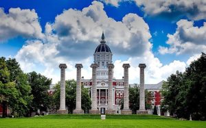 Gallery 12 Free Img 300x187 1